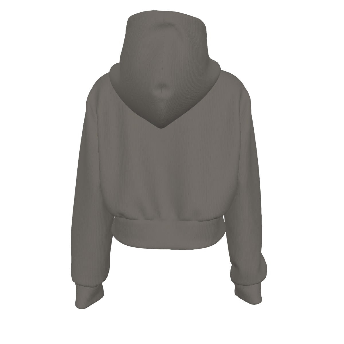 Virtus Cropped Zip Hoodie